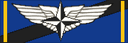 Pilot